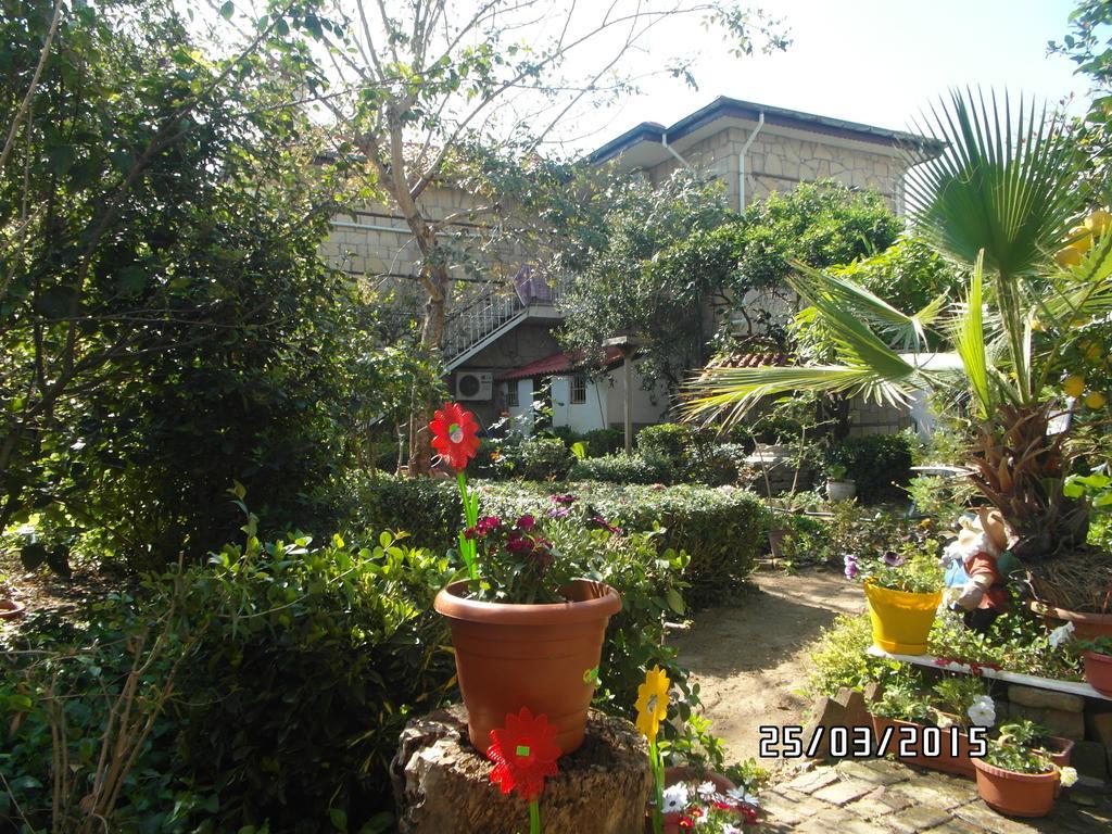 House * Side