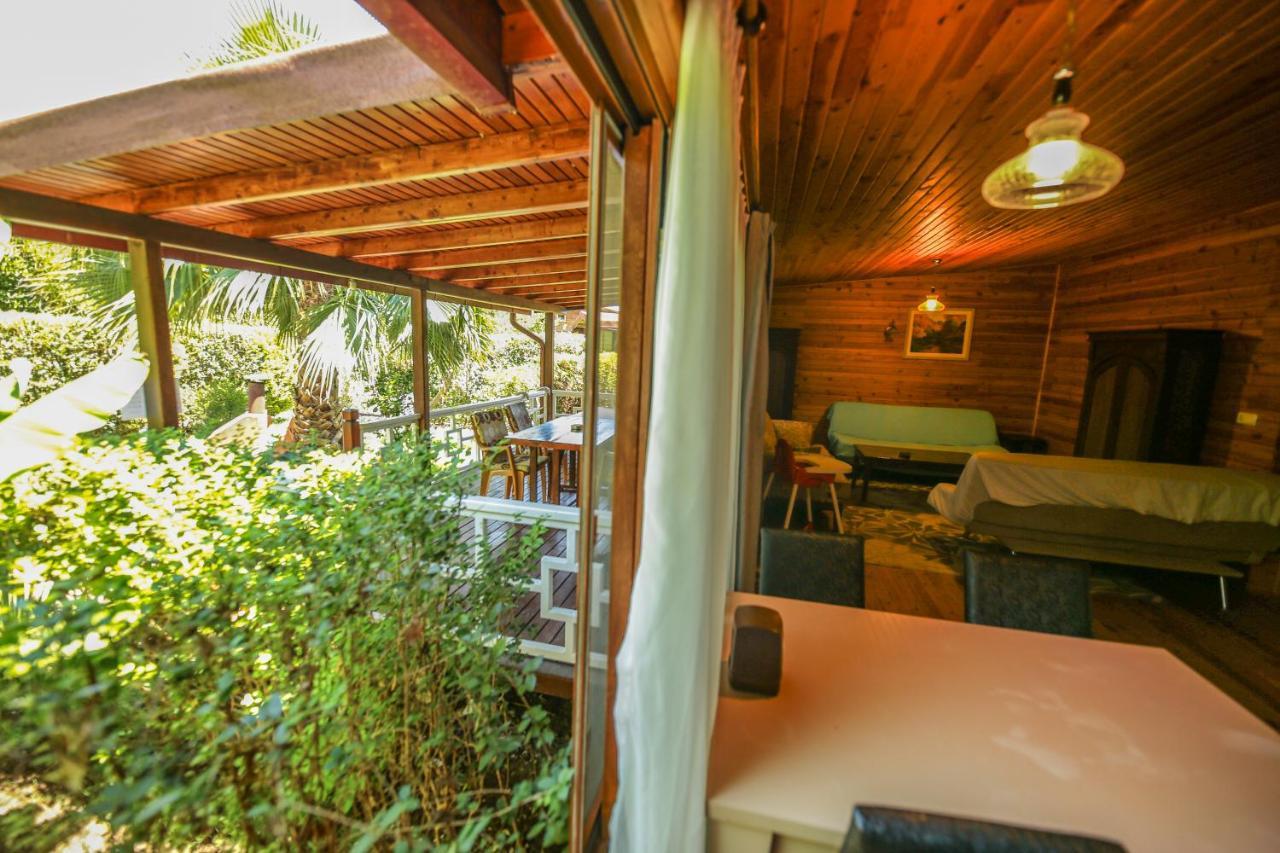 Holiday park Zeytin