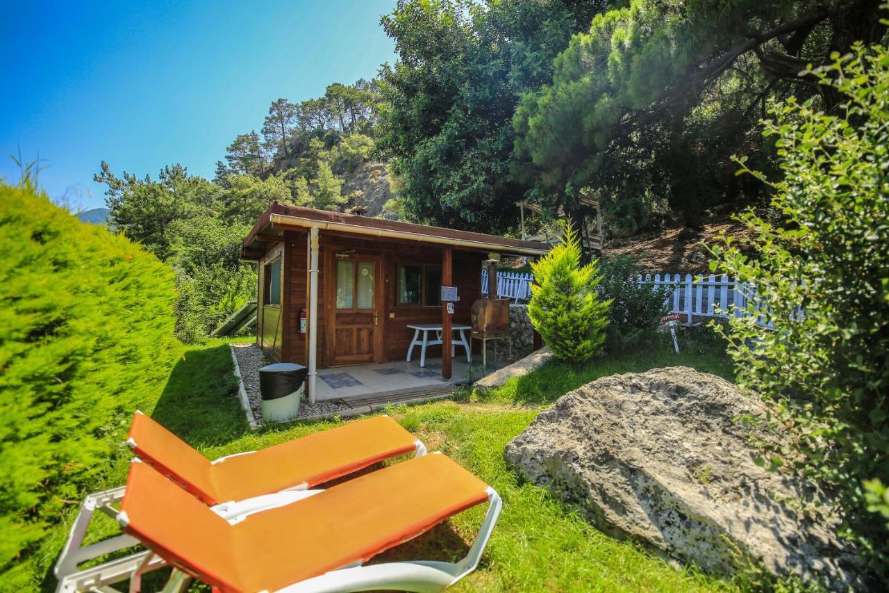 Holiday park Zeytin