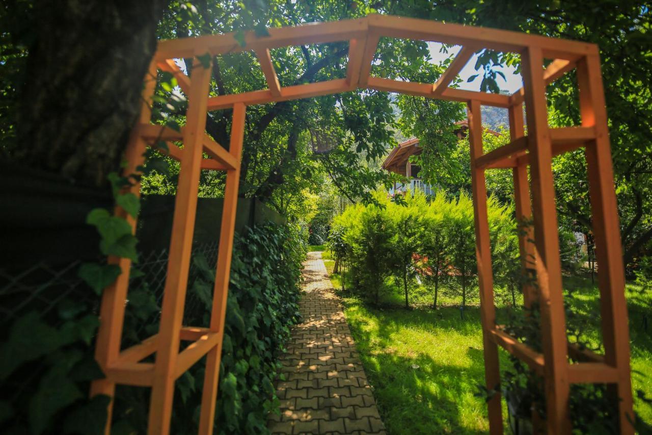Holiday park Zeytin