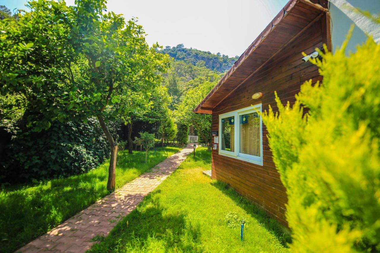 Holiday park Zeytin Cirali
