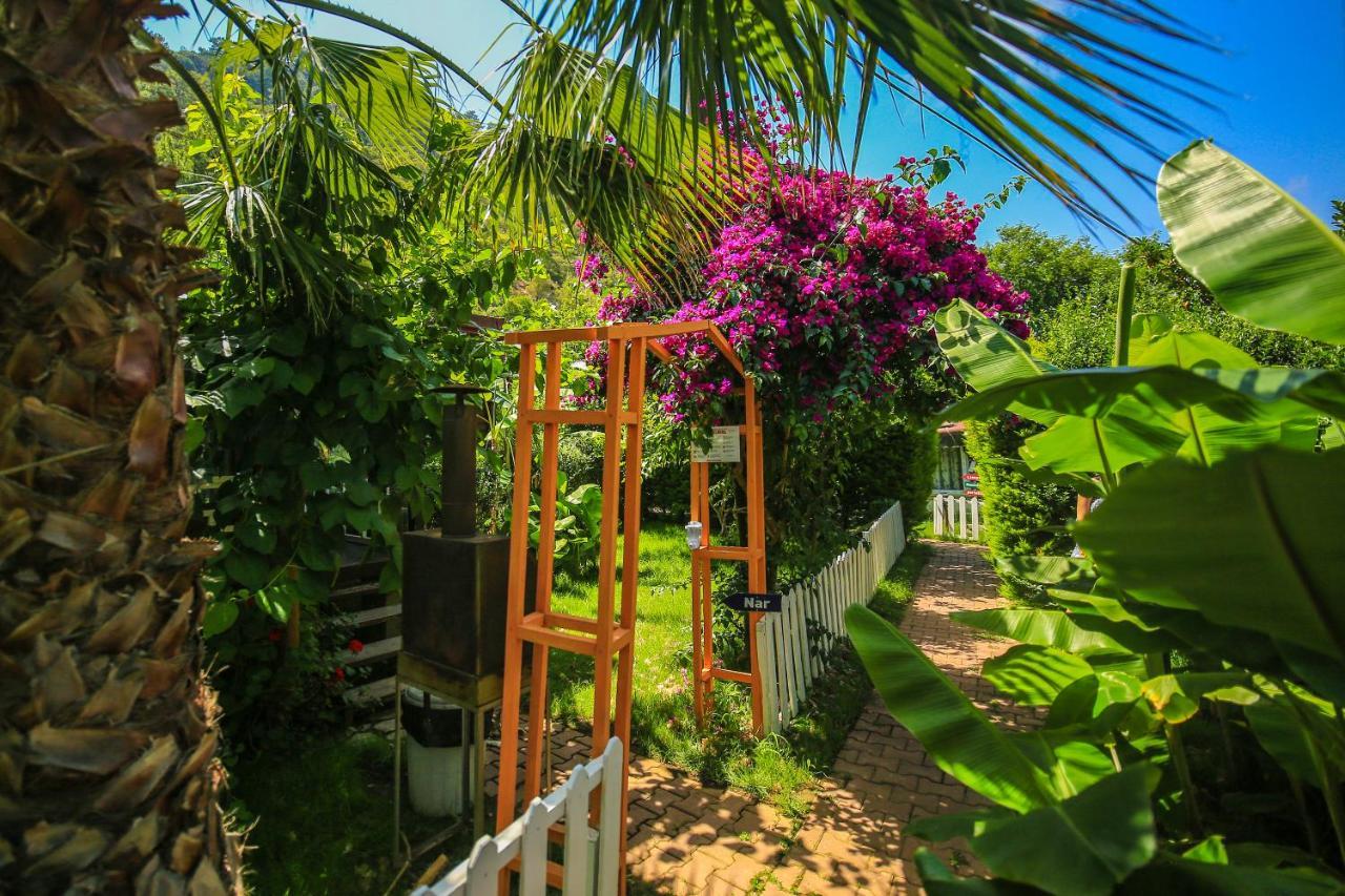 Zeytin Holiday park *