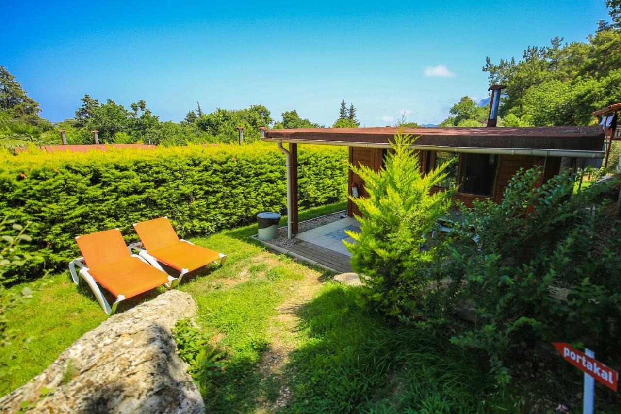 Holiday park Zeytin *