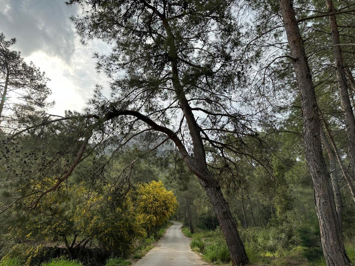 Naturella 3* Kemer
