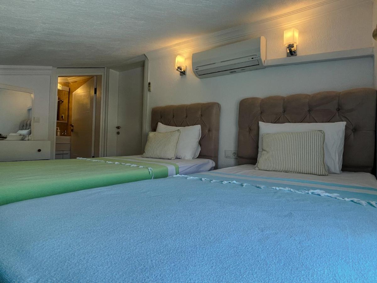 Apollon * Kalkan