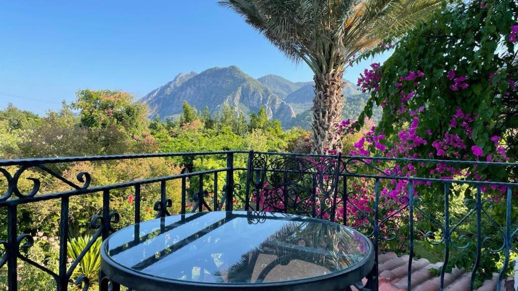 Hemerans Anatolia Guest house 3*