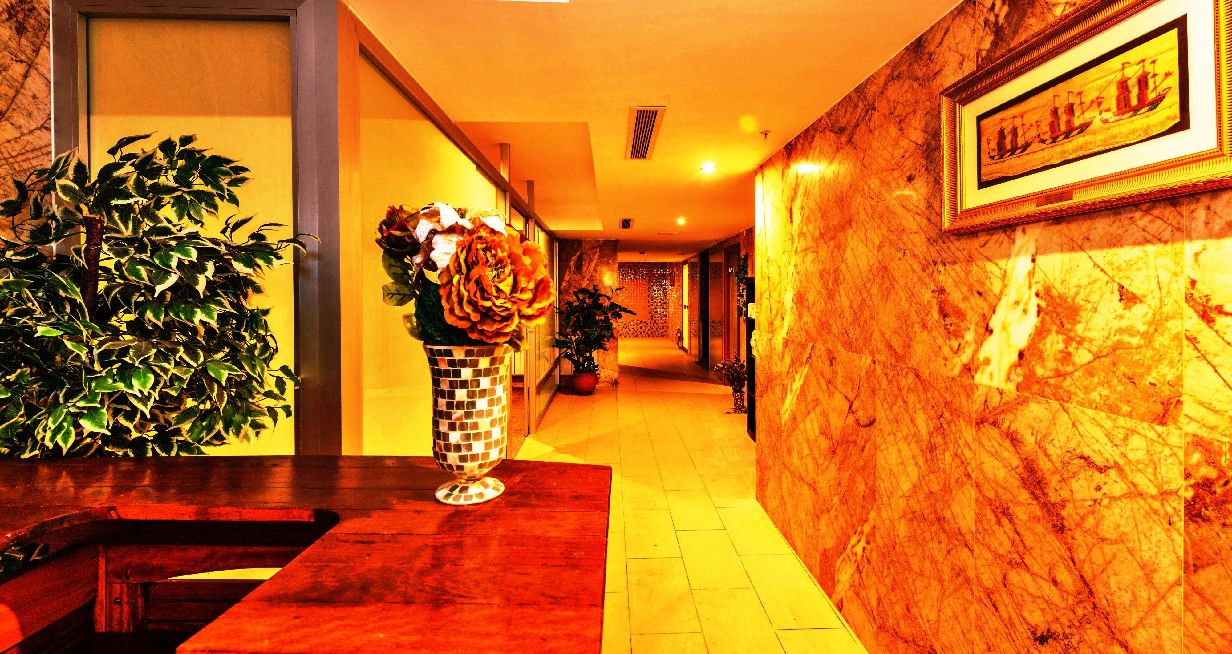 Hotel Dab 4*