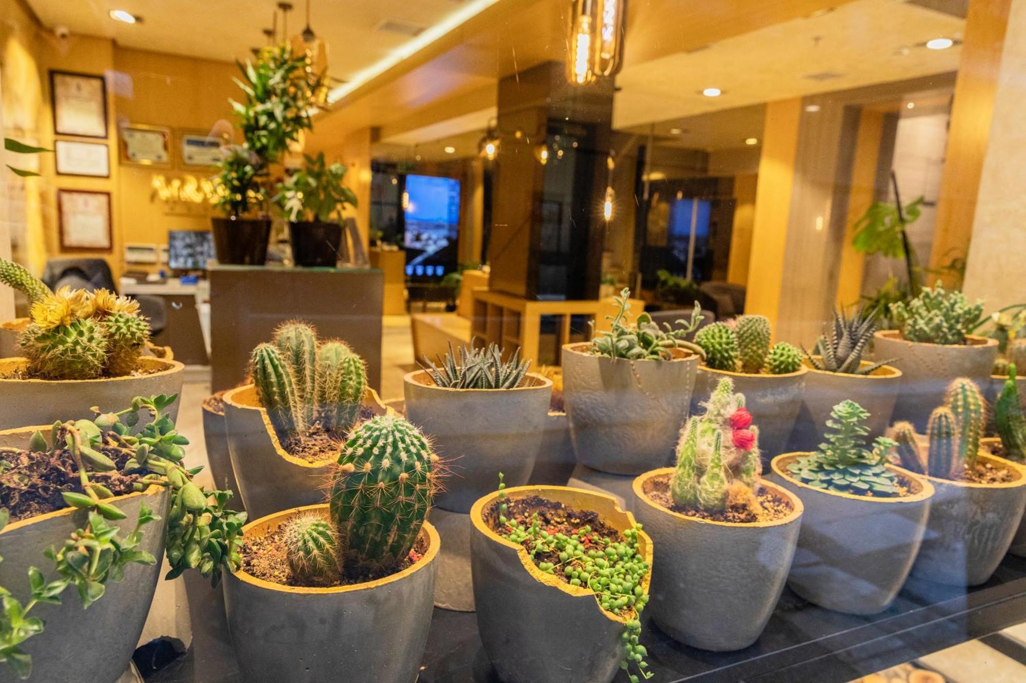 Ayramin Deluxe Hotel Taksim Hotel Istanbul