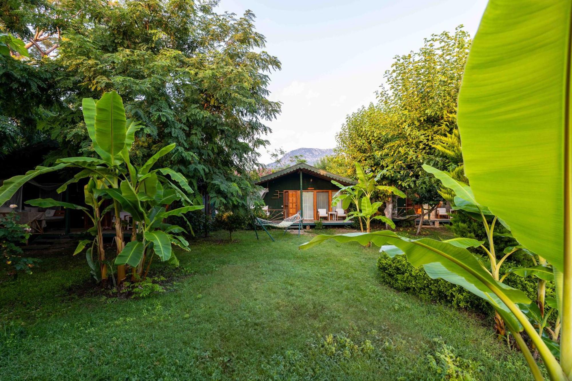 Bed & Breakfast Etenna Beach Bungalows 3*