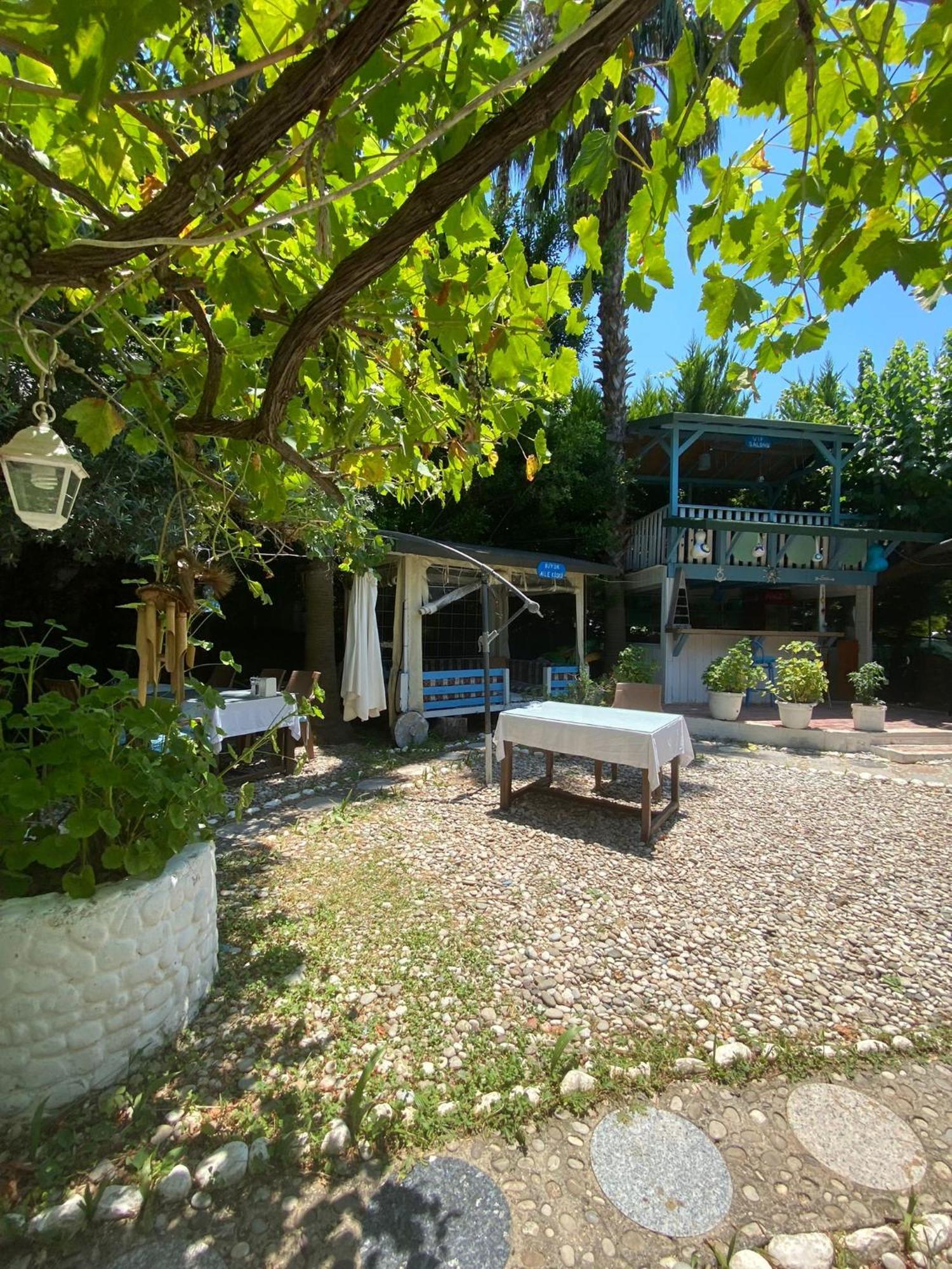 Mila Guest house 3*