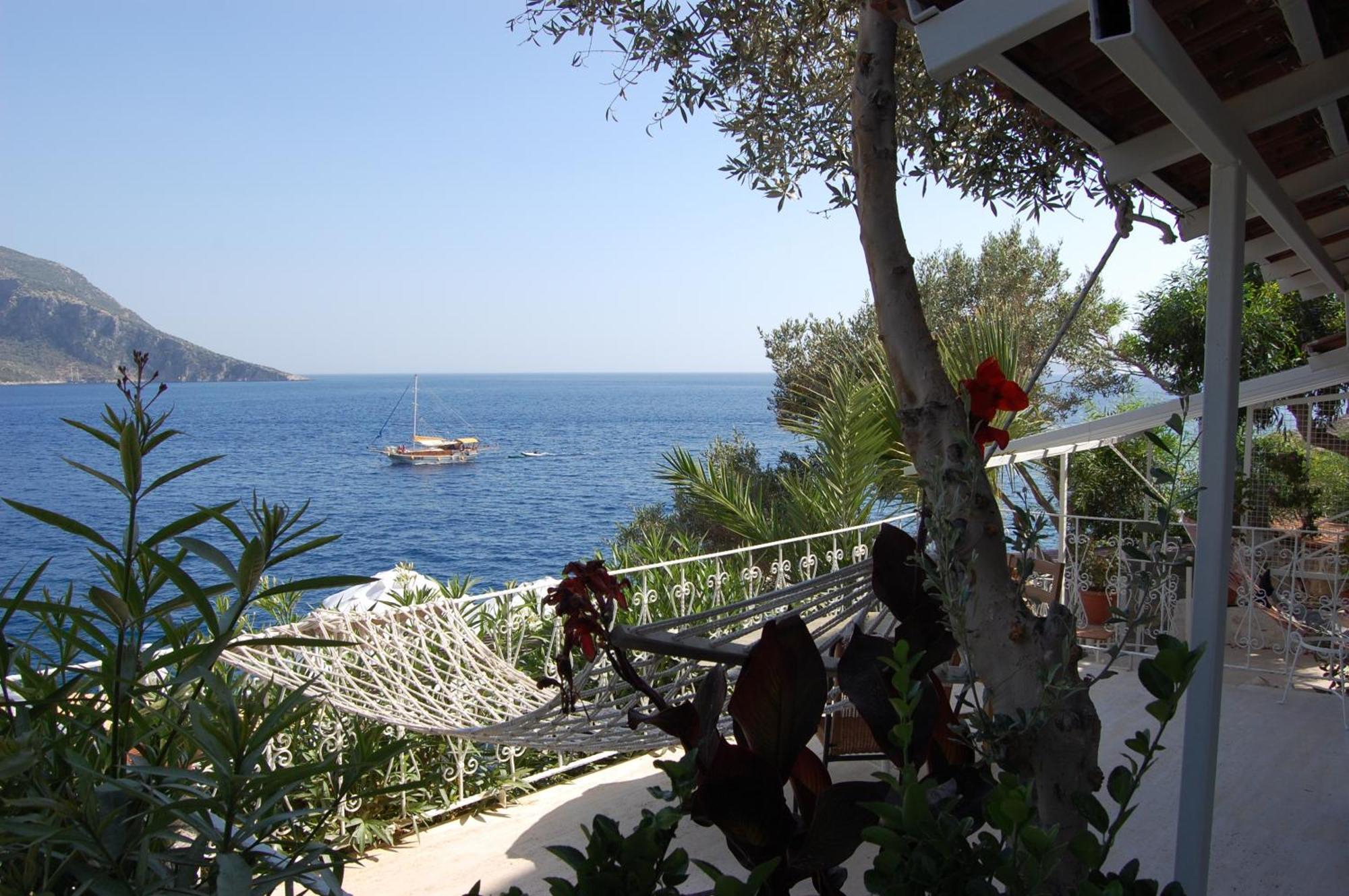 Caretta Kalkan