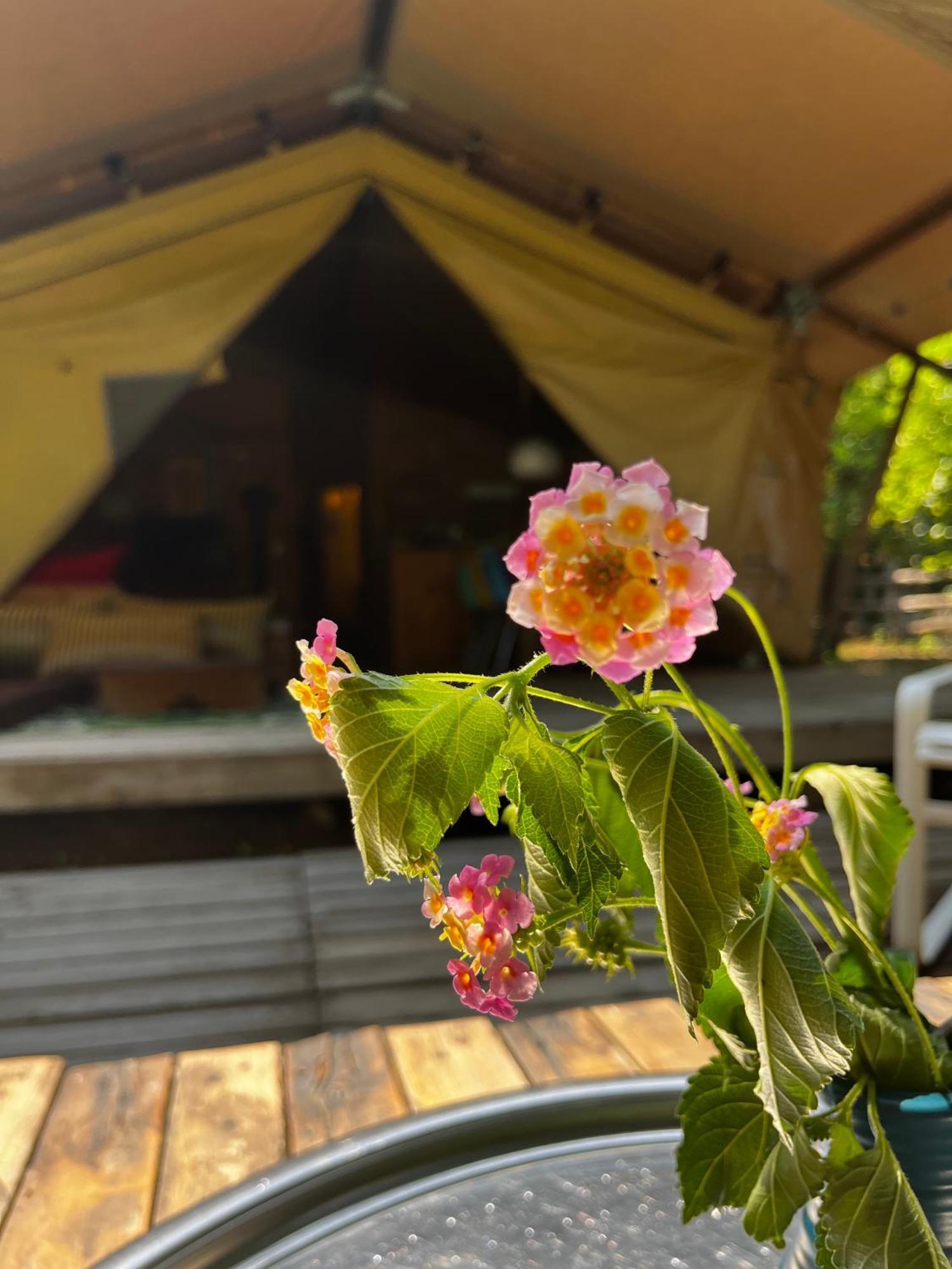 Campo Portakal Eco Glamping Luxury tent *