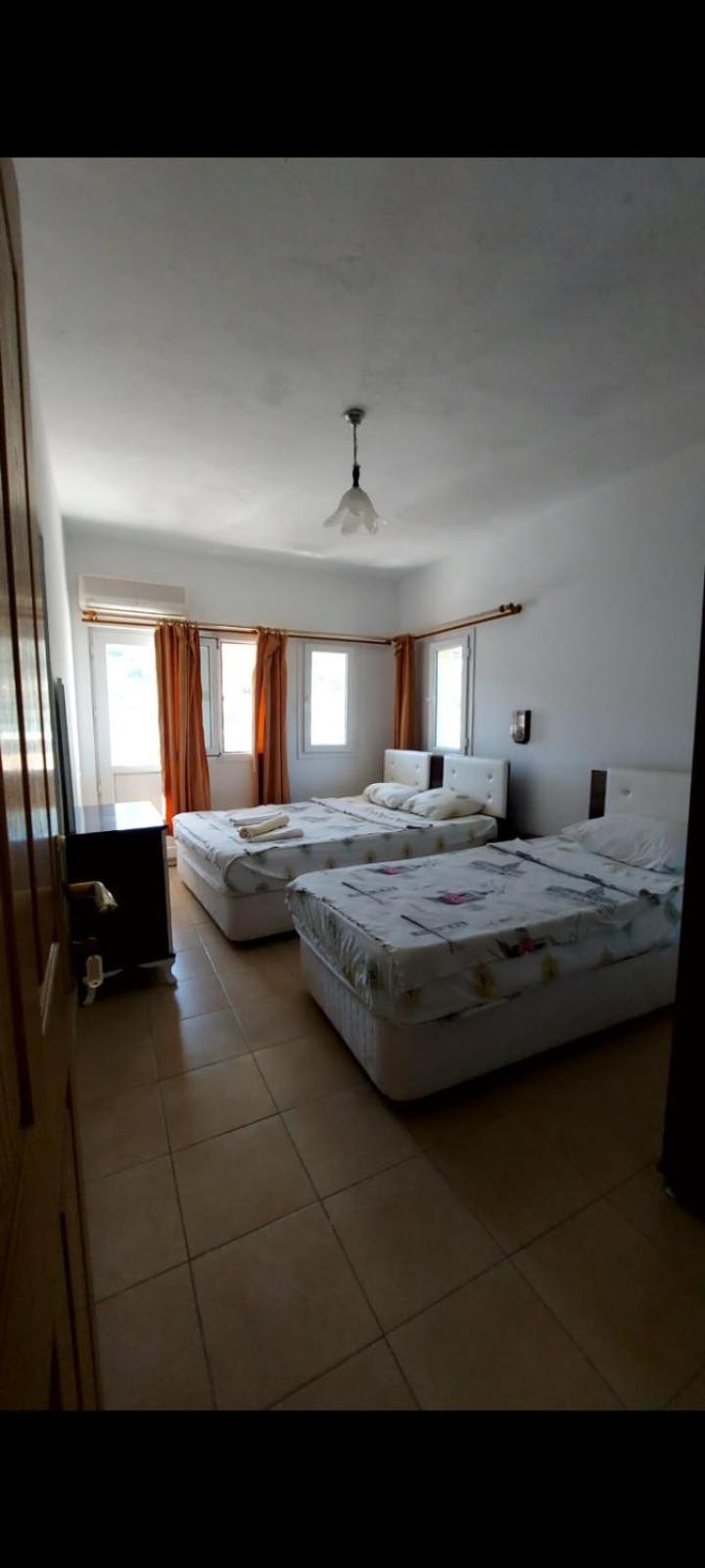 Homestay Teacher *