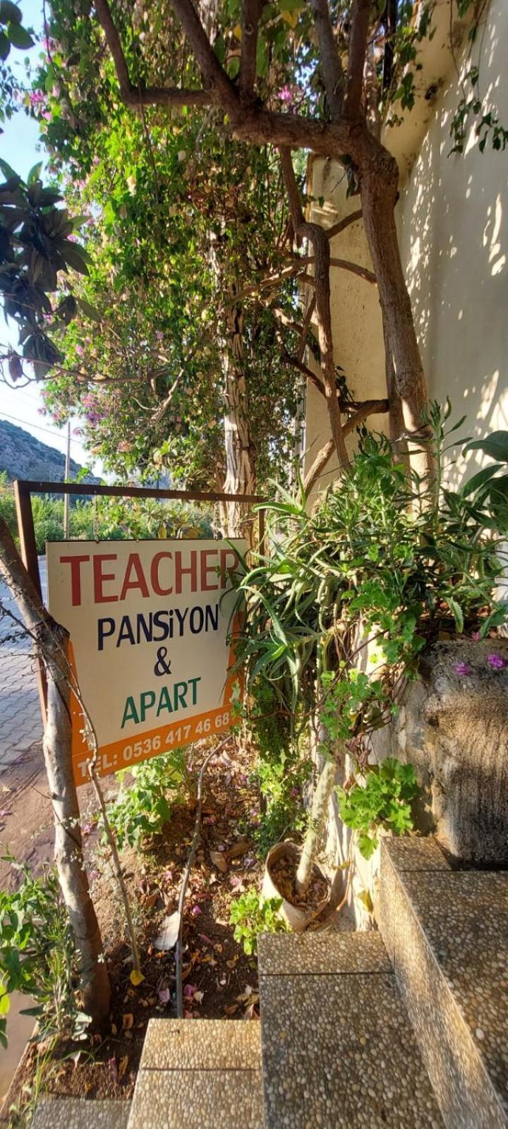 Homestay Teacher