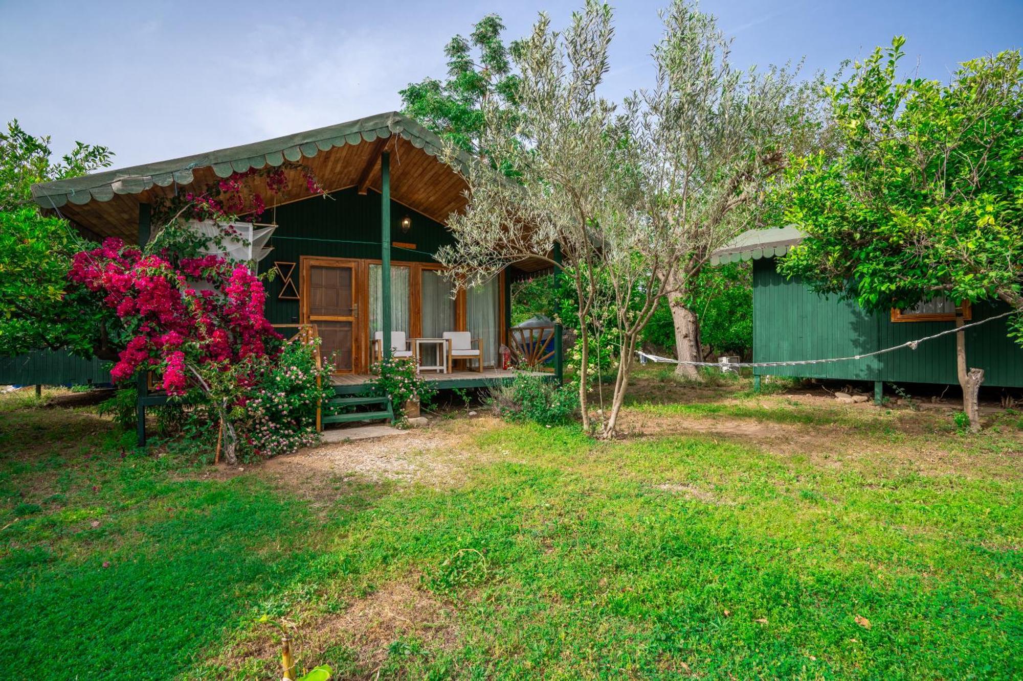 Etenna Beach Bungalows