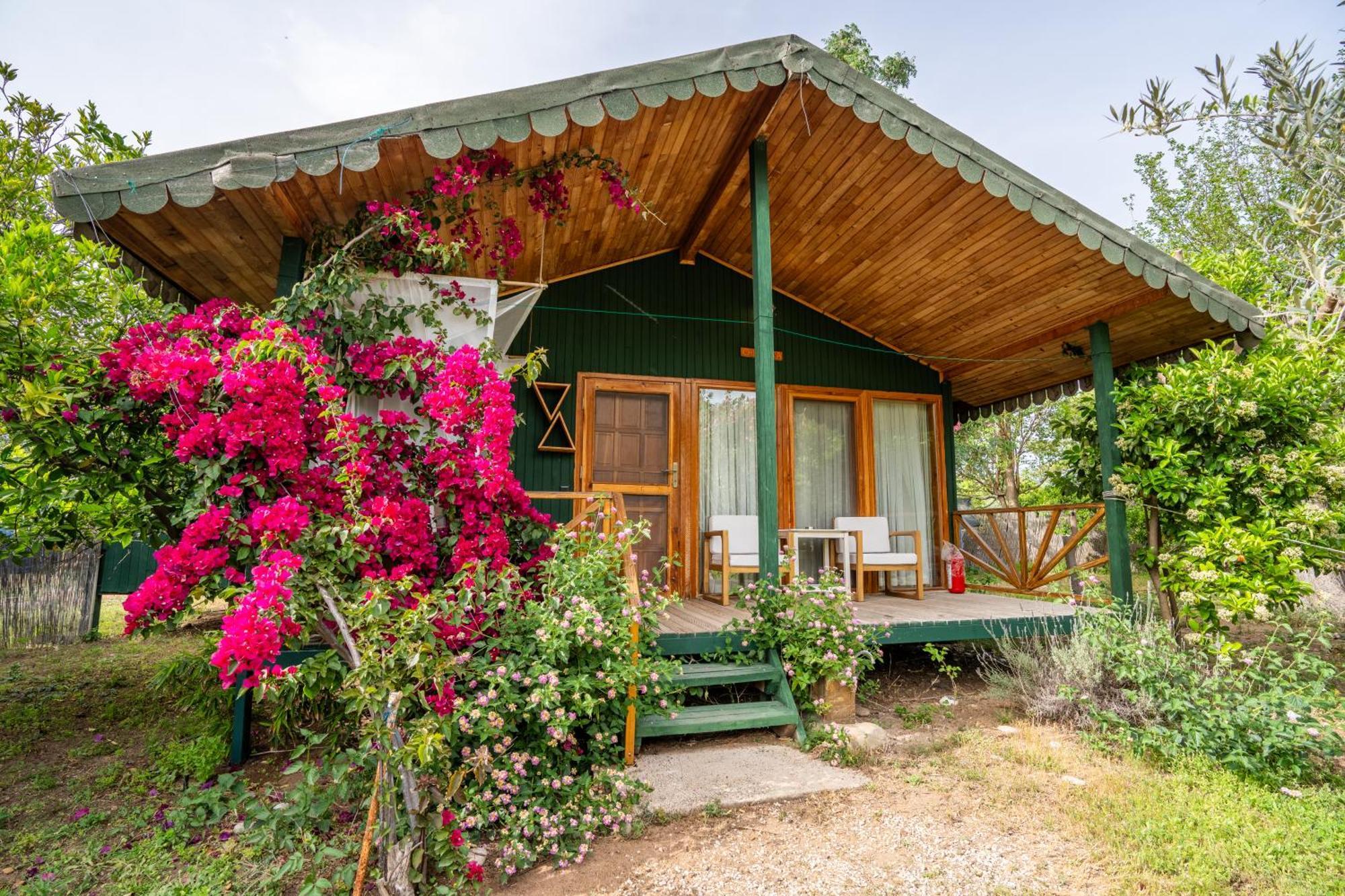 Etenna Beach Bungalows Bed & Breakfast