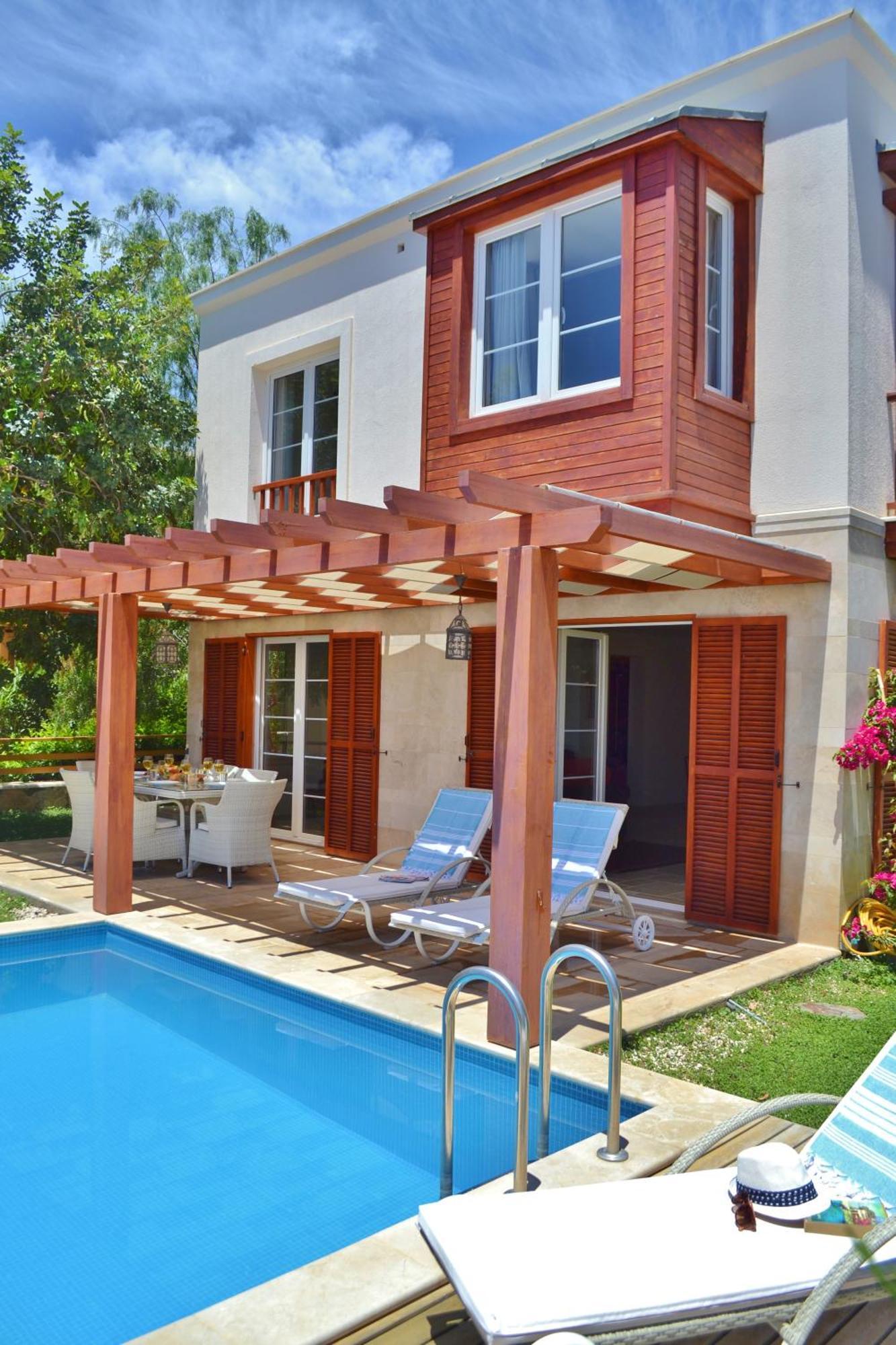 Zeytin Kalkan *