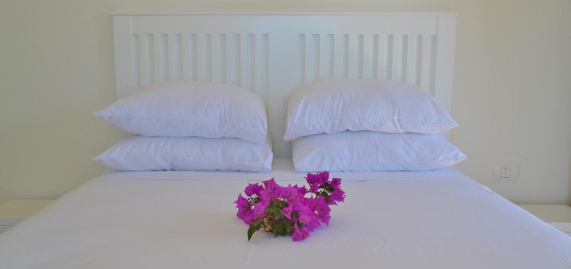 Zeytin Kalkan Villa Kas