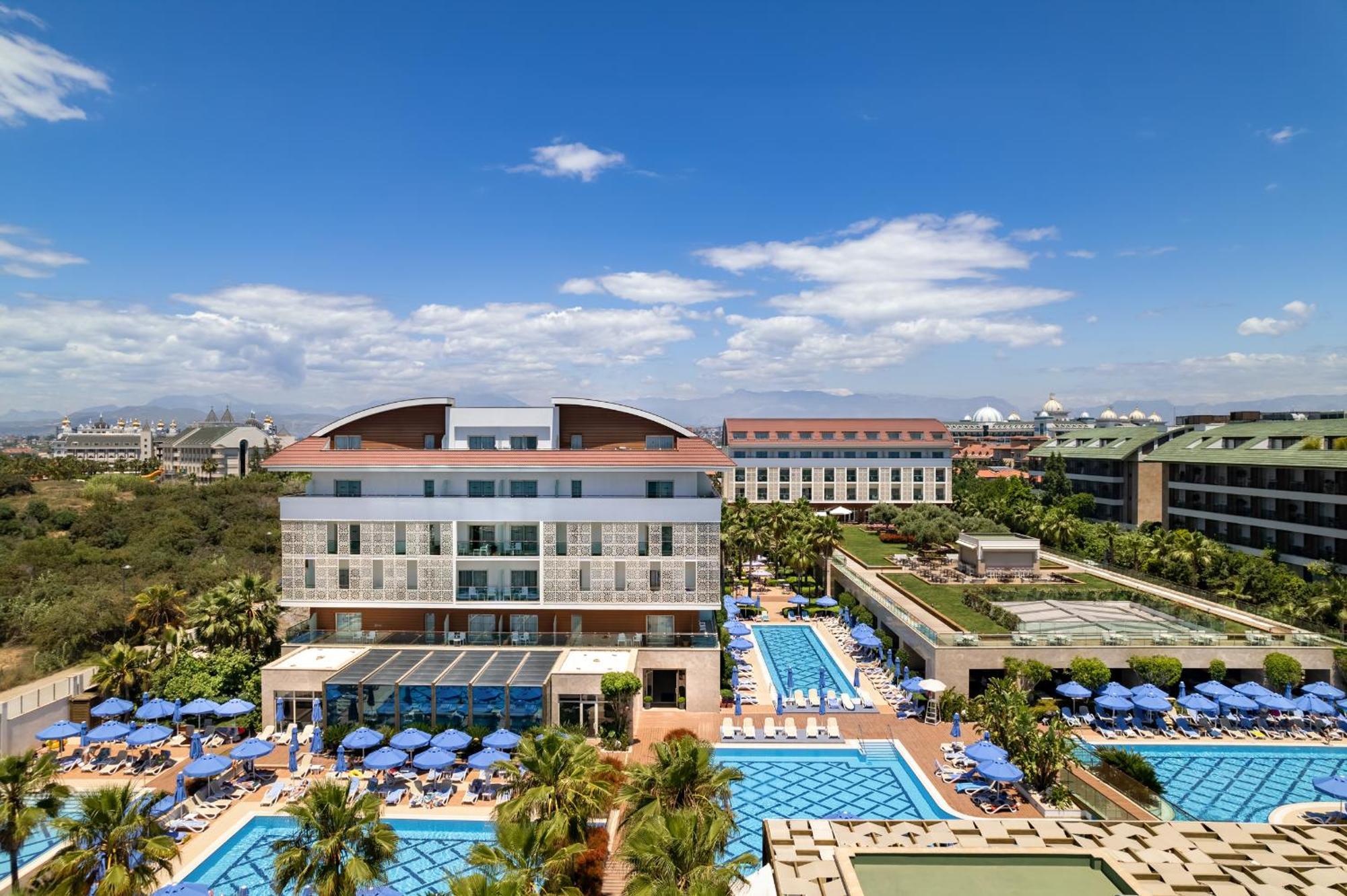Sentido Trendy Verbena