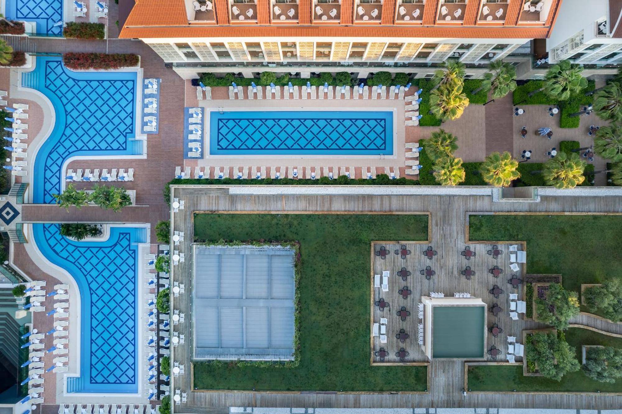Sentido Trendy Verbena
