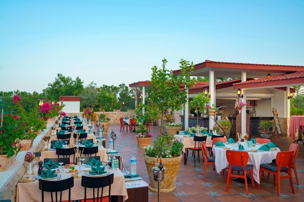Pirate's Club Resort