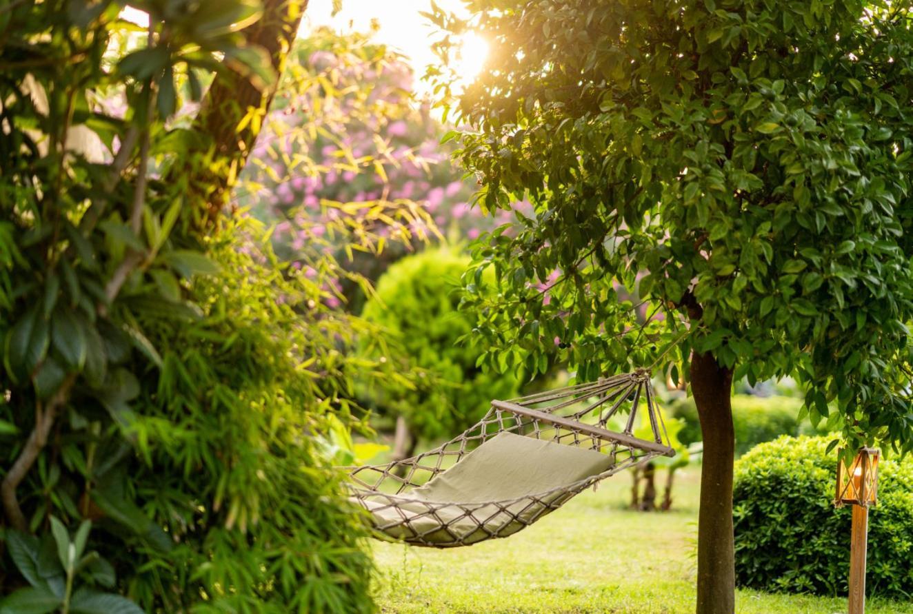 Etenna Beach Bungalows Bed & Breakfast
