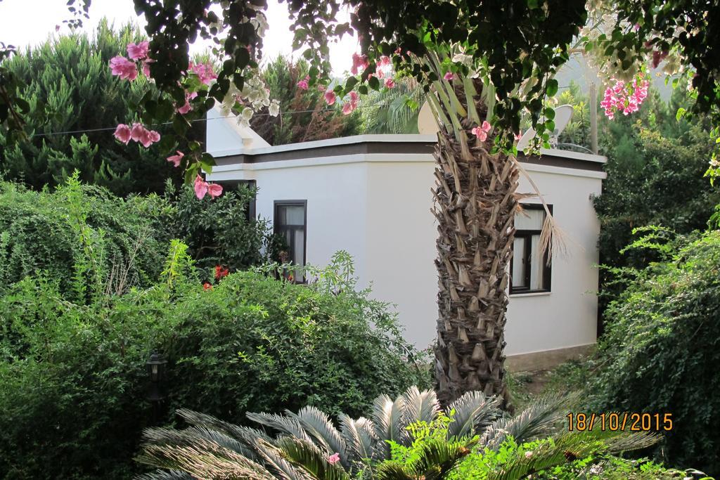 Guest house Hemerans Anatolia 3*