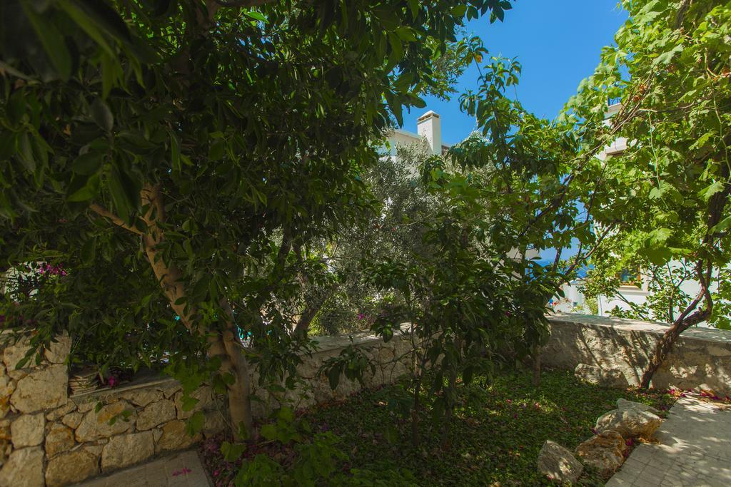 Tera Mare Villa *