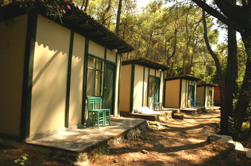 Sundance Camp Campsite