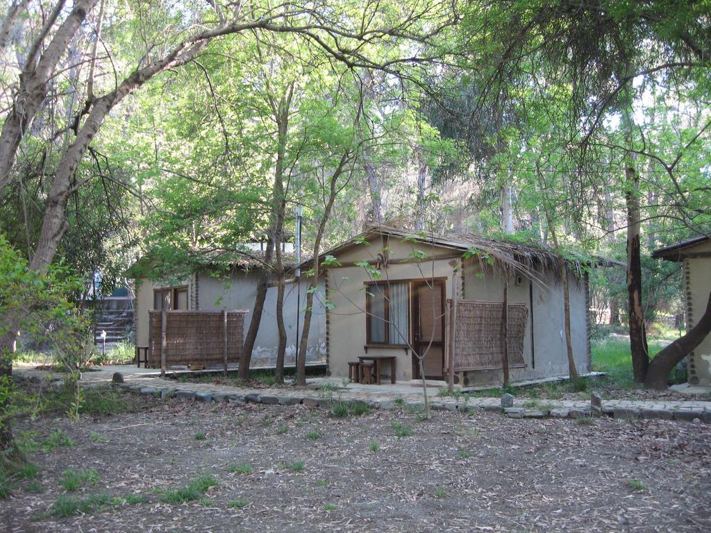 Sundance Camp