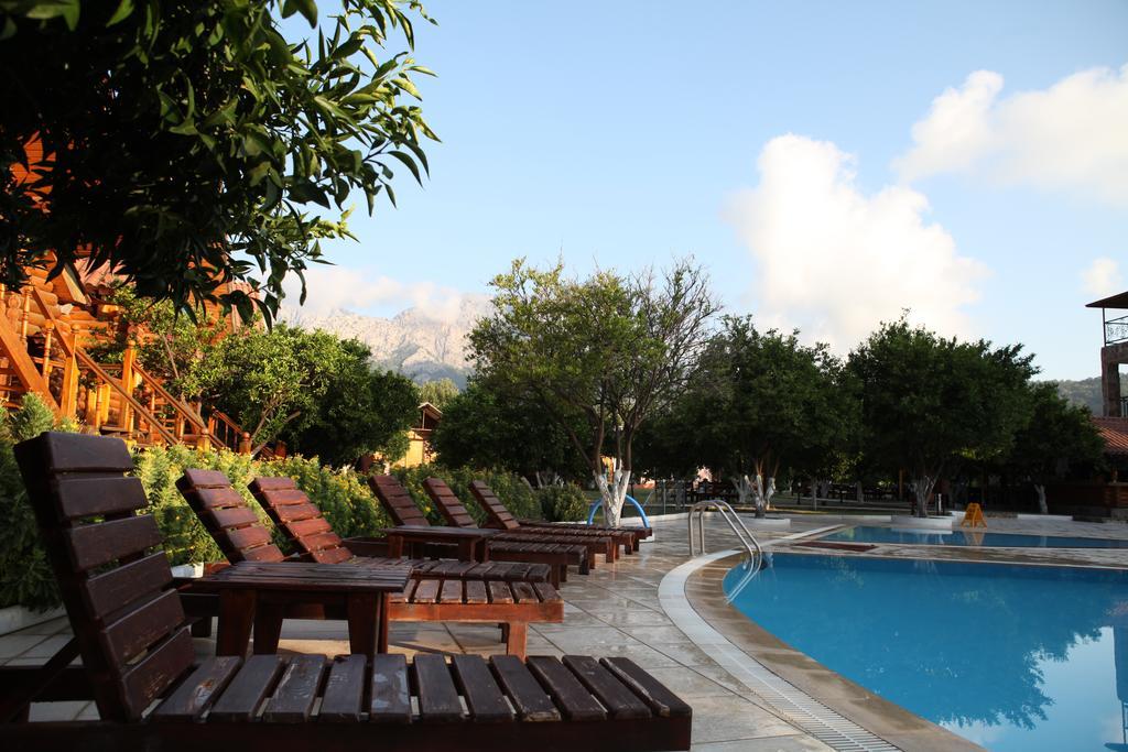 Hotel Woodline 3*