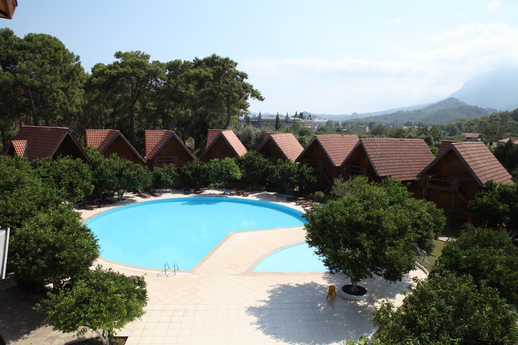 Hotel Woodline 3*