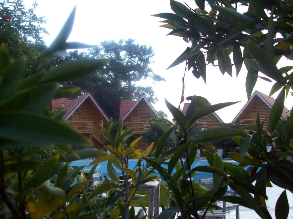 Hotel Woodline 3*