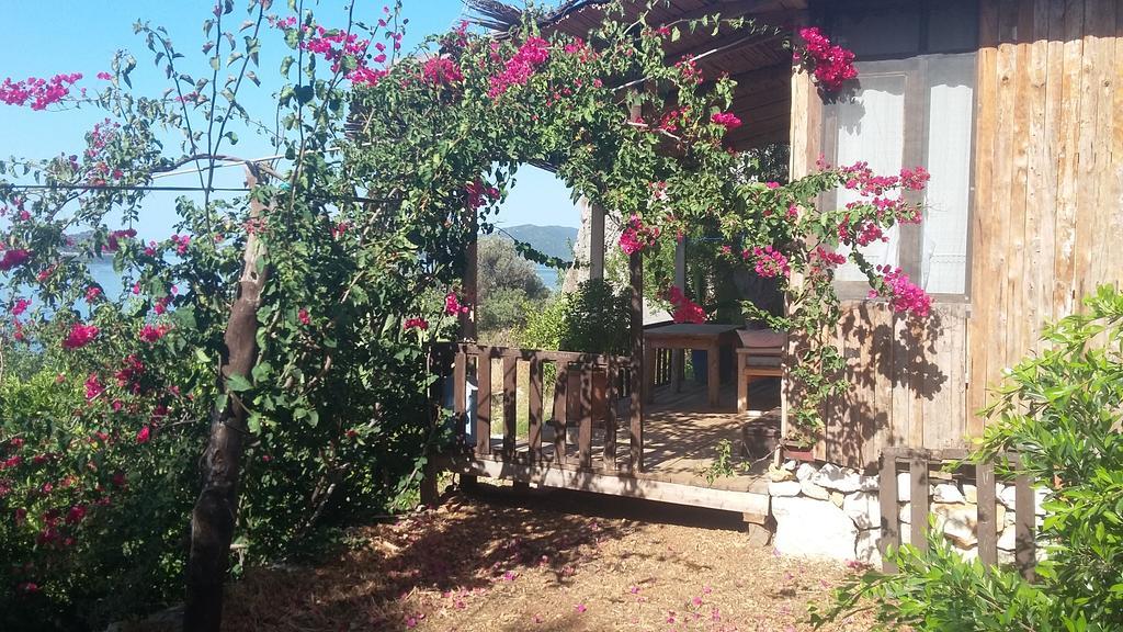 Guest house Mehtap *