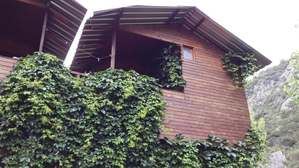 Camlik Guest house *