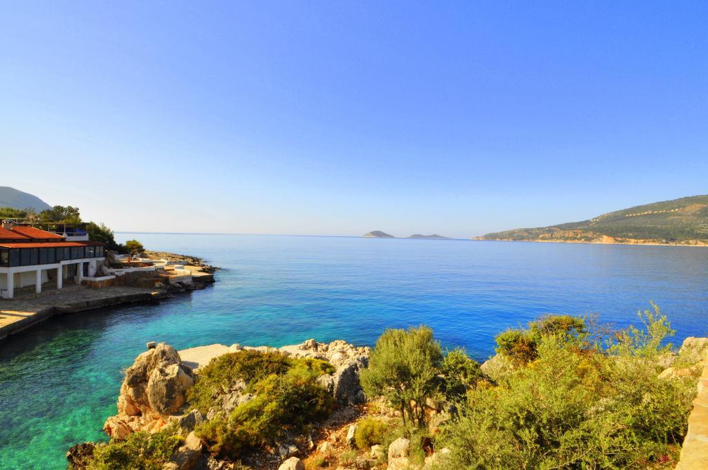 Tera Mare