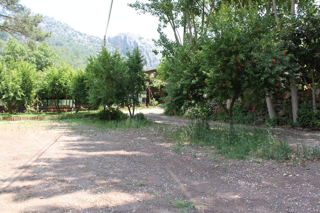 Camlik Guest house