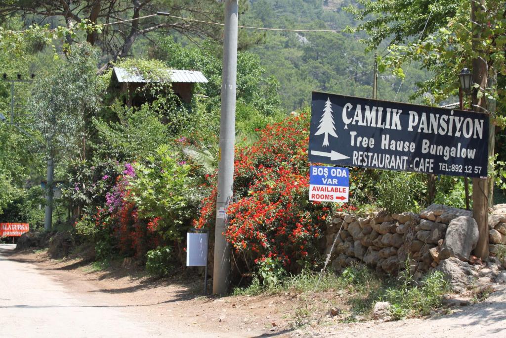 Camlik Olympos