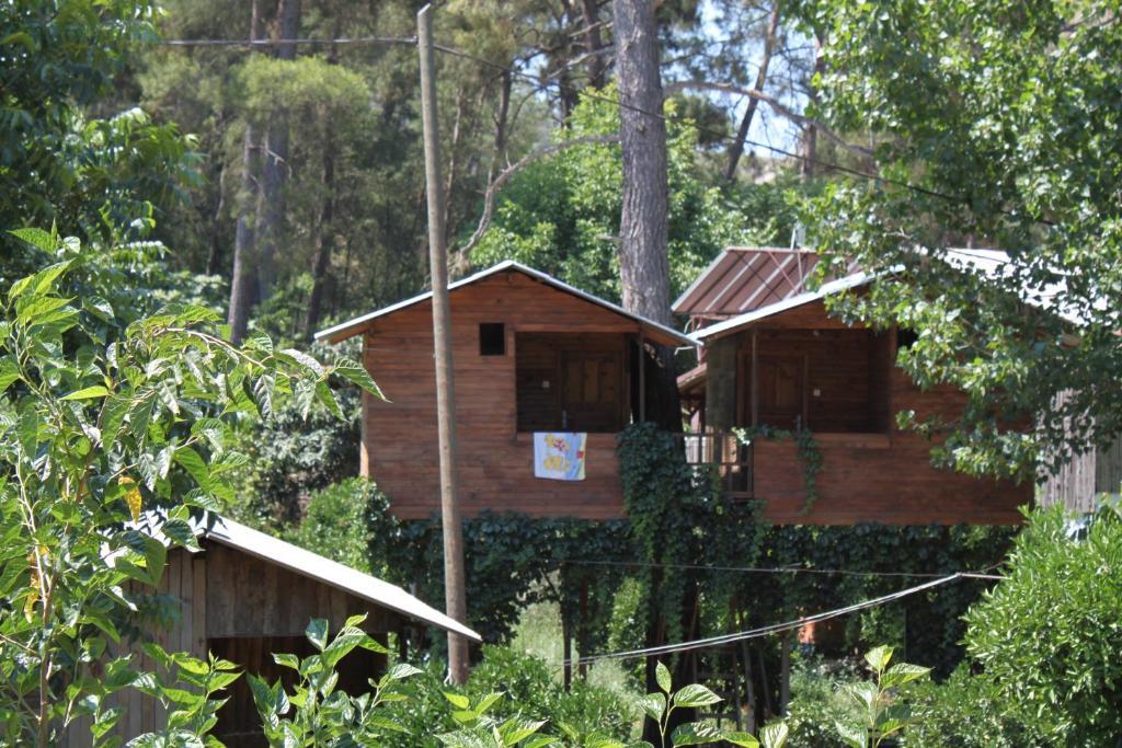 Camlik * Olympos