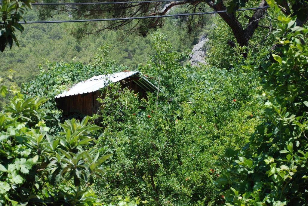 Camlik Guest house