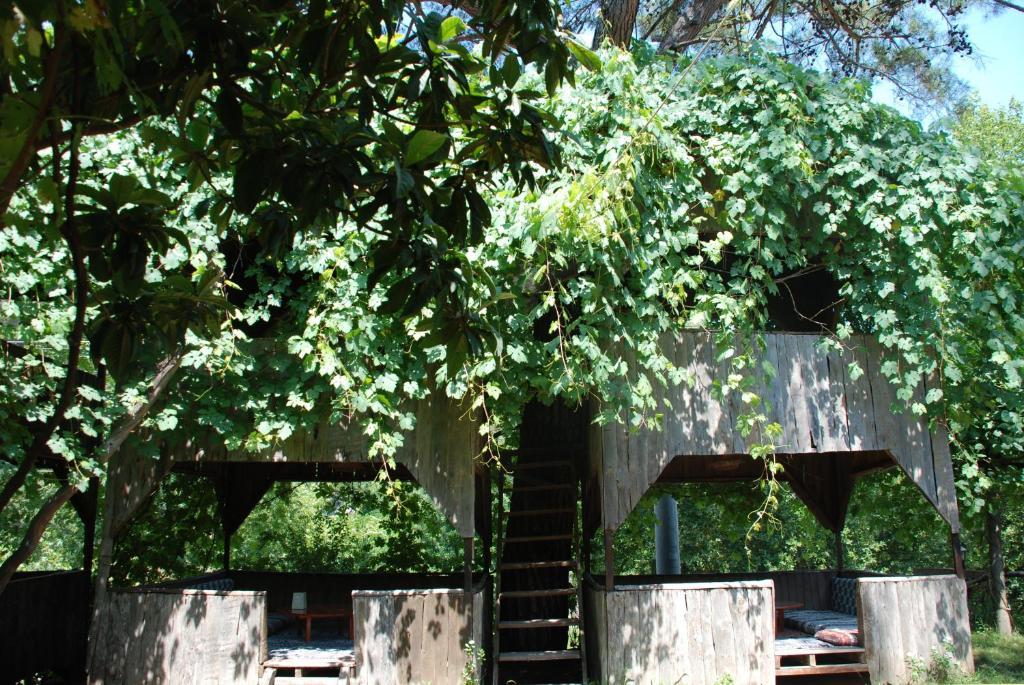 Camlik Olympos