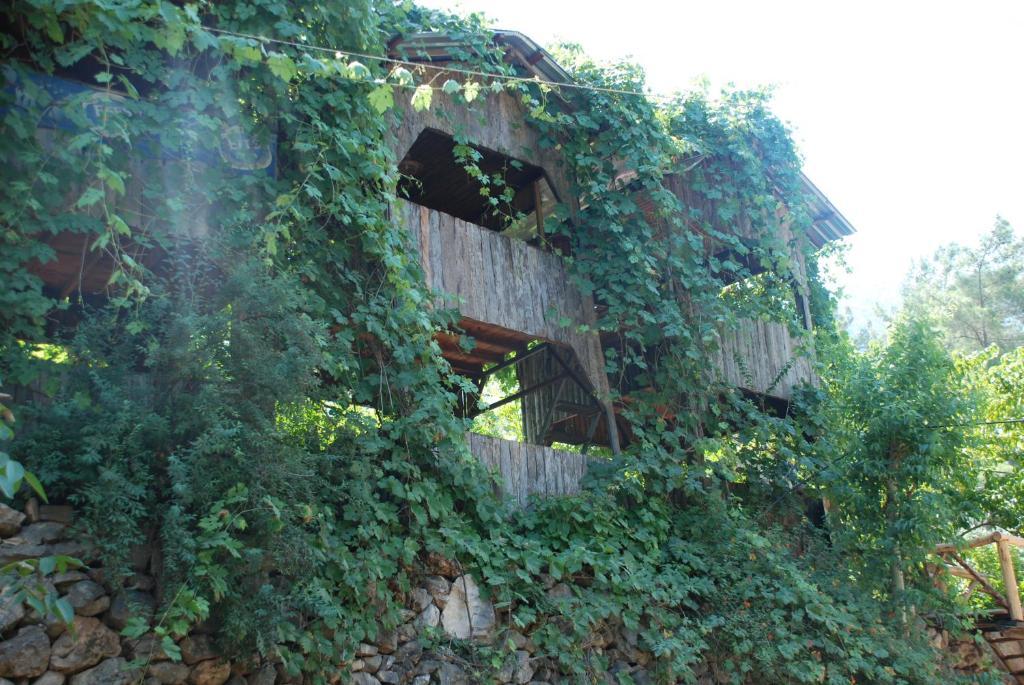 Camlik Olympos