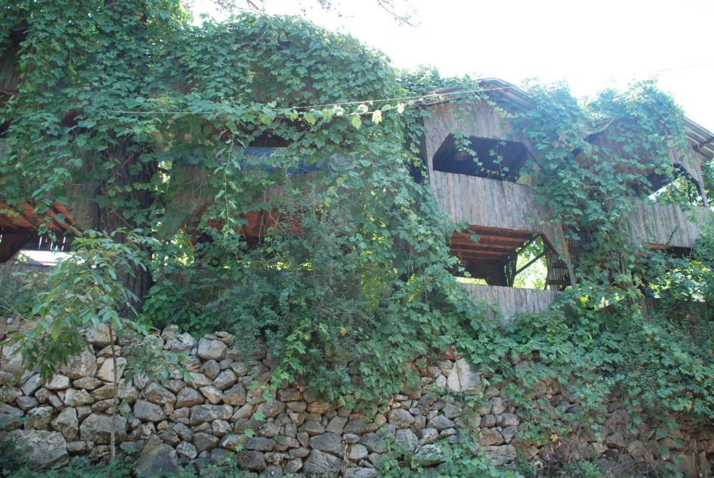 Camlik Guest house *