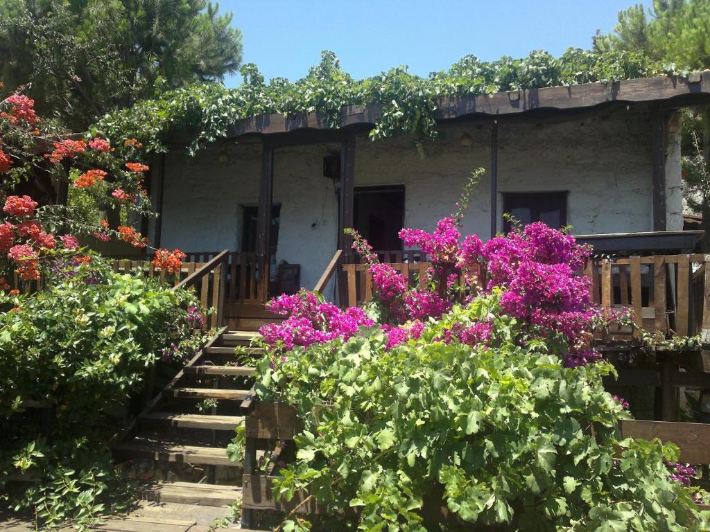 Mehtap Guest house