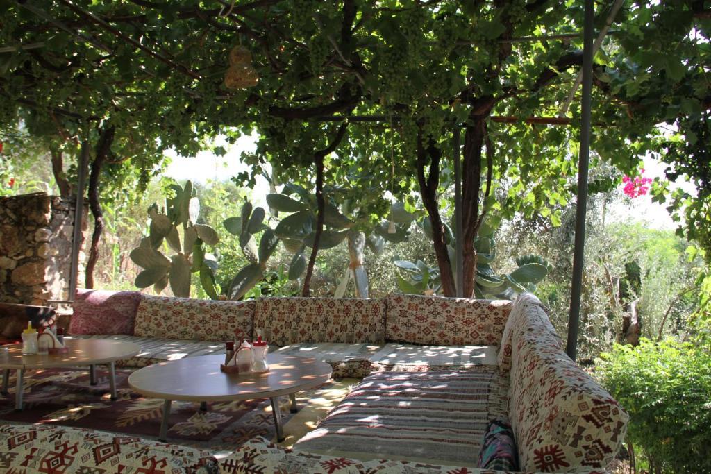 Sema 3* Patara