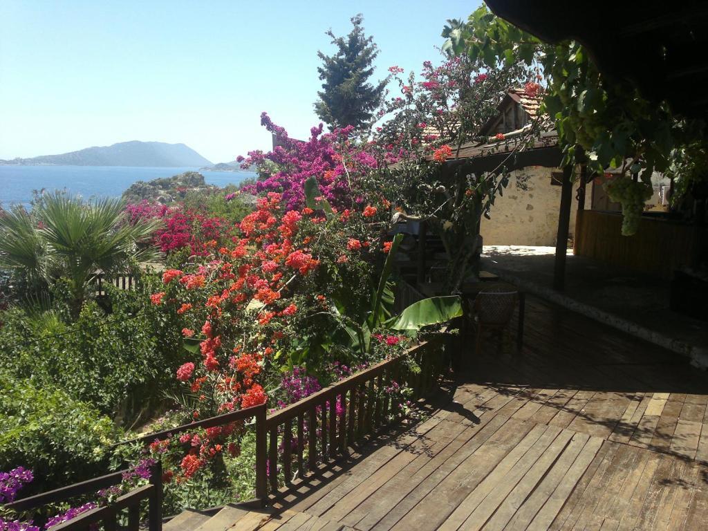 Guest house Mehtap *