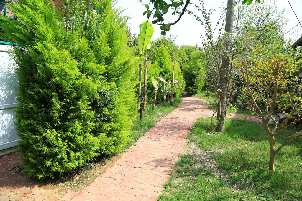 Zeytin