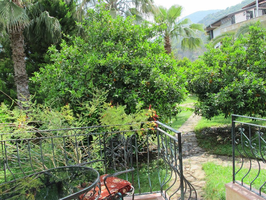 Guest house Hemerans Anatolia Cirali
