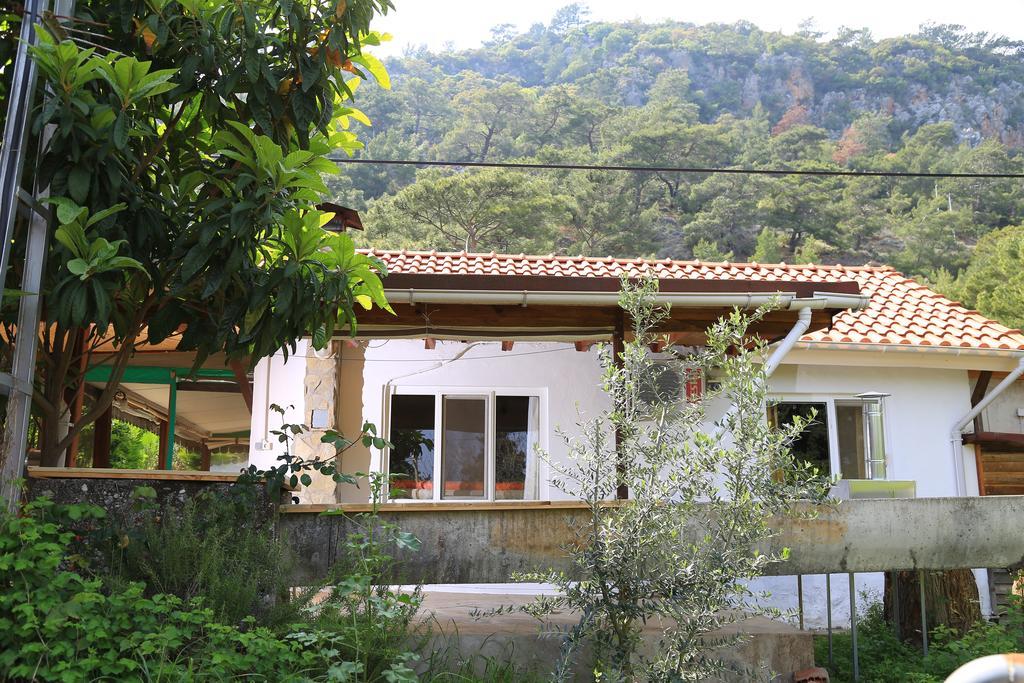 Holiday park Zeytin