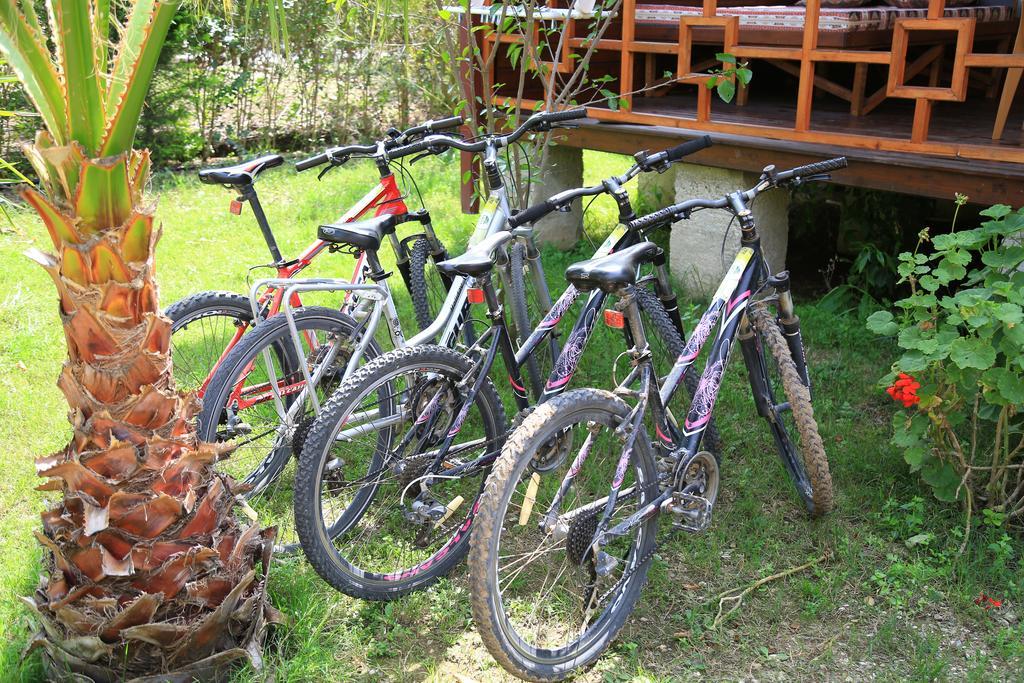 Zeytin Holiday park Cirali